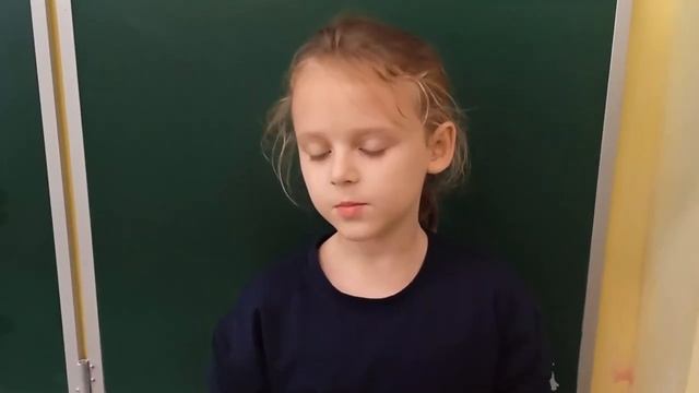 Зачем нужны учителя? Рассказывают ученики начальной школы МОУ СОШ4 г Всеволожска смотреть онлайн