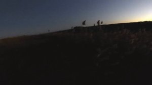 (18 ) БЫЛО ОБНАРУЖЕНО МНОГО УТКИ (охота на утку - сезон осень 2018).mp4