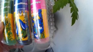 Томаты на Гидропонике. Часть 3.