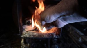 Живу в тайге, питаюсь травой. Черемша. Медуница. 2-я серия.