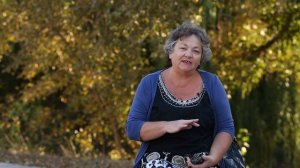 Как отмыть застарелый кухонных жир с плиты