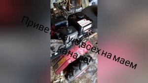 Без названия