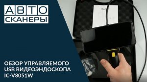 Обзор управляемого USB видеоэндоскопа IC-V8051W