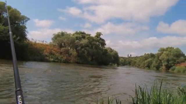 ?Велопохд на речку. Ночёвка под тентом, рыбалка. (День 2) смотреть онлайн