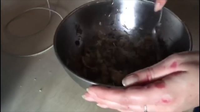 Чудо-грибочки.Праздник весны.(30-1.05.20г) смотреть онлайн