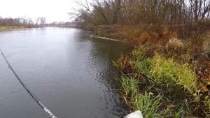 ЩУКА в наябре! Твичинг! С Михалычем на реке. Сейм 2018. Поклевки в кадре!