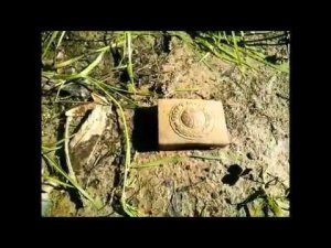 Лесной коп  по войне  с камрадом , лисёнок в гости заглянул.