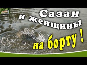 Сазан и женщины на борту. Рыбалка Астрахань 2019. База Фортуна.