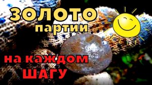 ЗОЛОТО партии НА КАЖДОМ ШАГУ!!! Коп монет с металлоискателем