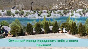 Фотосетка Мечта для декора забора, беседки.mp4