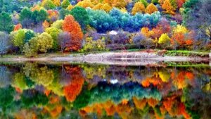 ✔ Шалунья осень