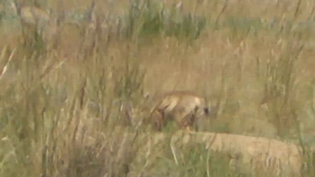 СЕМЬЯ КОРСАКОВ III часть смотреть онлайн