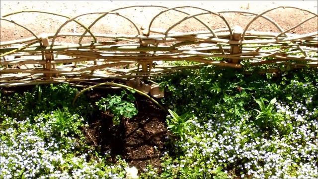 Плетень своими руками смотреть онлайн