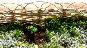 Плетень своими руками