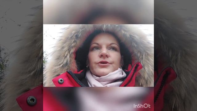 Протокол ЭКО//назначение репродуктолога перед протоколом эко