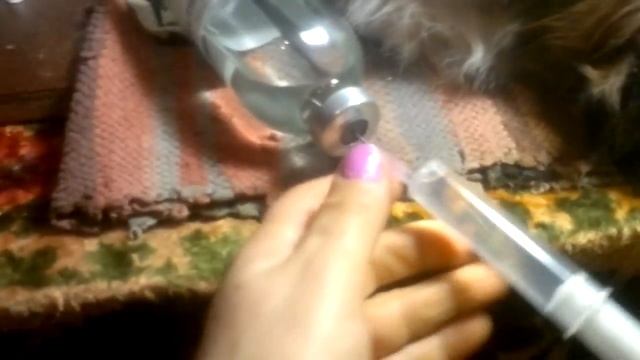 капаем собаку самостоятельно смотреть онлайн