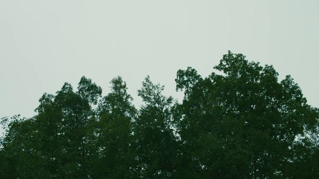 Horror Short Film “Backstroke” | ALTER