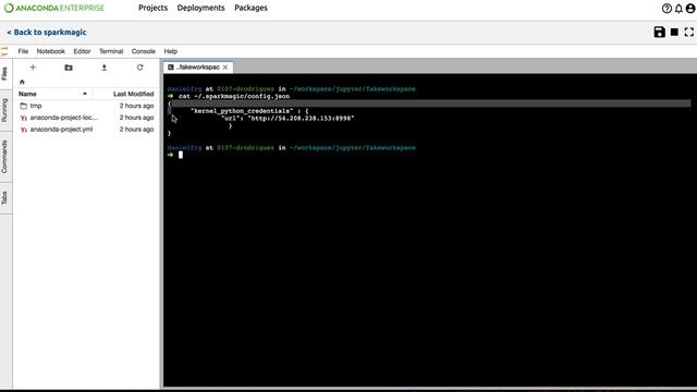 Securely Connecting Anaconda Enterprise to a Remote Spark Cluster (Livy and Sparkmagic) смотреть онлайн