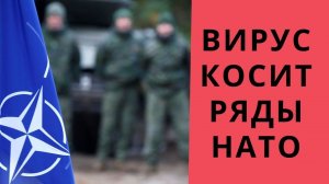 Военным выгодам Польши и Прибалтики помешает вирус?