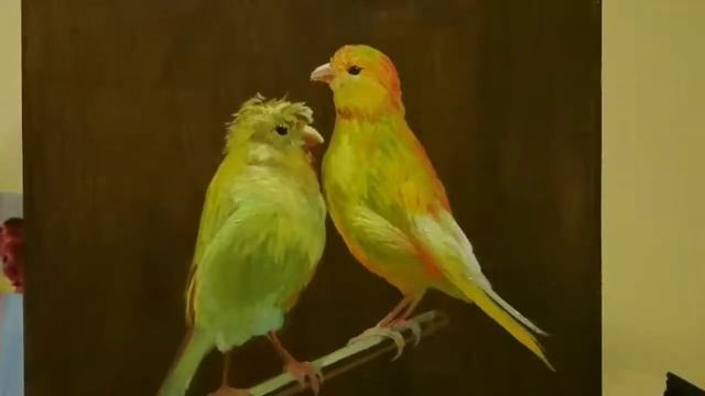 Как писать канареек. смотреть онлайн