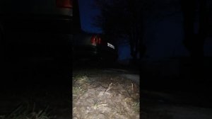 Звук выхлопа сток ауди 100 С4