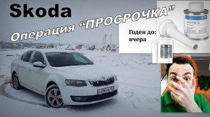 Skoda: Тест Присадки в Бензин. Часть 1 (2024)