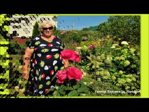 Любимый уголок природы - сад моей мечты