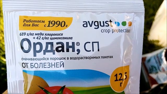ОГУРЦЫ. ПРОФИЛАКТИЧЕСКАЯ ОБРАБОТКА В ИЮНЕ ОТ ЗАБОЛЕВАНИЙ НА ОГУРЦАХ. ПЕРОНОСПОРОЗ