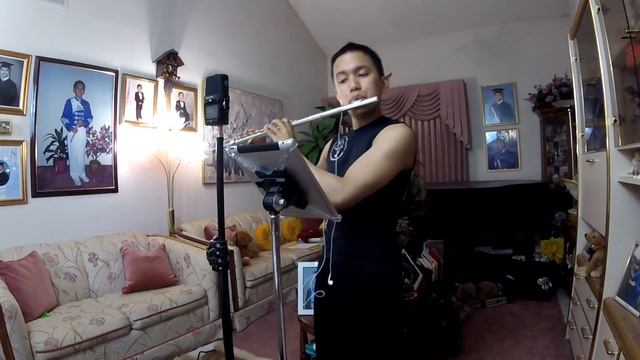 Lindsey Stirling - The Arena (Flute Cover by Vincent Gatdula) смотреть онлайн
