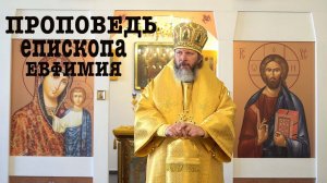 Проповедь епископа Луховицкого Евфимия в день памяти апостолов Петра и Павла