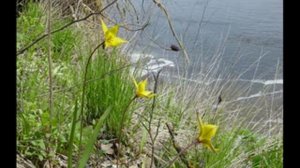 Новохоперск - обзор