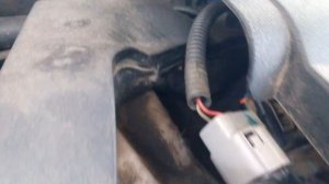 Громкая работа двигателя 2AR-FE после запуска