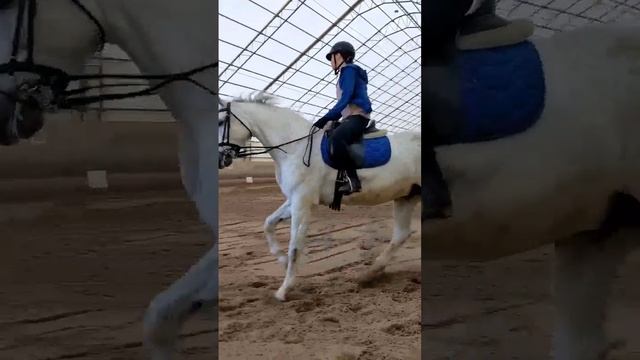 Галоп работаем раздельно
