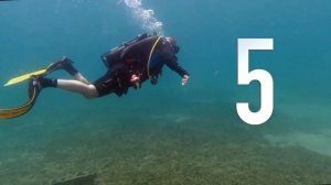 The 5 Basic Principles of Scuba Diving. (Be an efficient diver!)