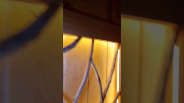 Как сделать своими руками модное пано с травами