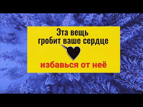 Эта вещь гробит сердце. Как защитить и укрепить своё сердце