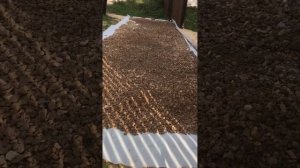 Парковка из щебня на геотекстиле