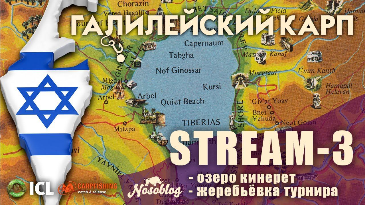 Галилейский карп 2020 (карпфишинг), стрим - 3