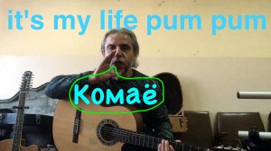 It's My Life-Pum Pum-Dr Alban-guitar Cover