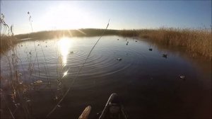 ОХОТА НА УТКУ В ДЕКАБРЕ В АСТРАХАНИ.