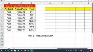 Copy & Paste Visible Cells Only In Excel In Hindi