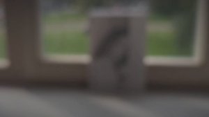 Портрет карандашом | Жанна Хлебнова "Чудо в перьях"