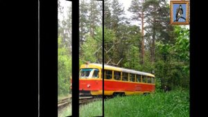 Трамвай в лесу