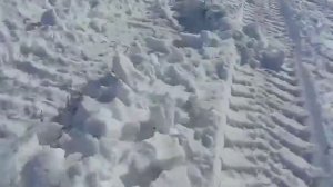 Спецназ ГРУ Военная разведка сила! #Армия#Казахстан#Семей