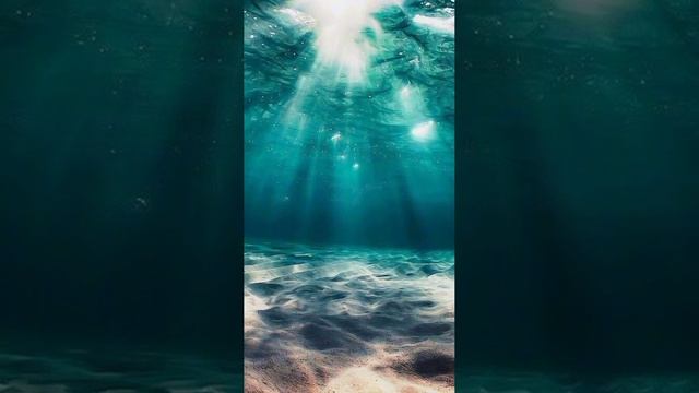 84 сиддха. Буддизм. Материал с сайта Андрея Вербы, oum.ru смотреть онлайн