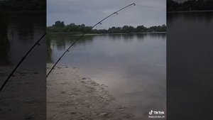 ловля пеленгаса.  активатор клева от И.Б