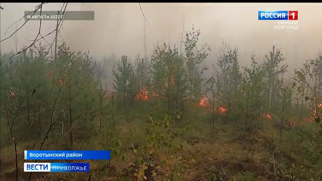 Распространение огня в Воротынском районе остановлено