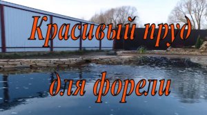 Пруд для форели дома, пошаговое строительство и результат.