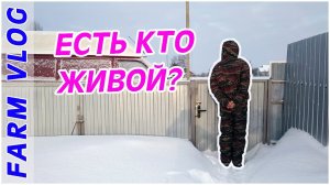 Farm Vlog_ Есть ли жизнь после снега_ _ НАПОЛЕОН _ Жизнь в деревне _ Farm Life