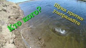 Кто кого??? Щука против ультралайта!!!